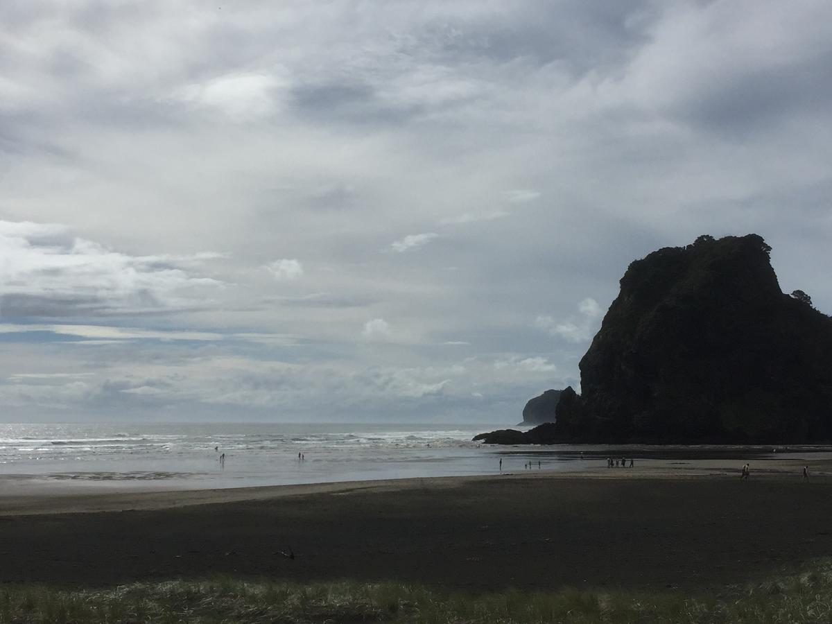 Titirangi Paradiso 奥克兰 外观 照片